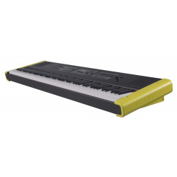 Dexibell DXEP604 - Panneaux latéraux jaunes pour pianos de scène et pianos portables