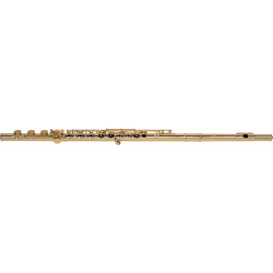 Pearl Flute MD925RB/CGP - Flûte en ut maesta gold champagne