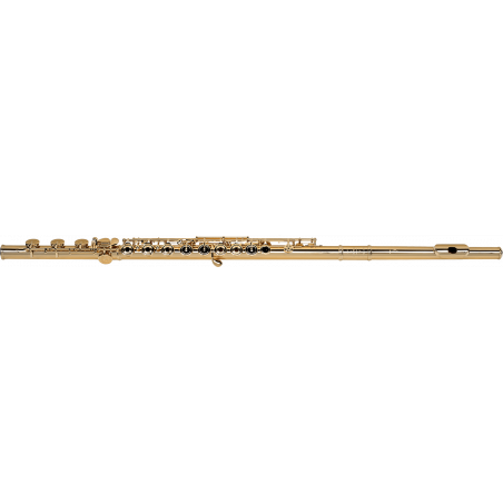 Pearl Flute MD925RB/CGP - Flûte en ut maesta gold champagne