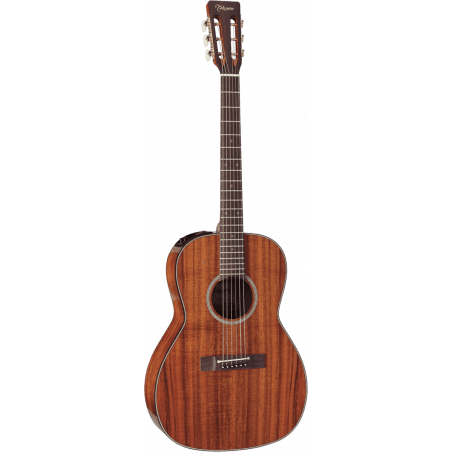 Takamine - Guitare électro acoustique Ef407 natural gloss