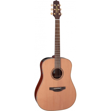 Takamine - Guitare électro acoustique limited fn15ar dreadnought